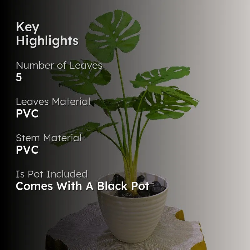 NatureScape Artificial Leaf Plant With Black Fiber Pot - 2 Feet media 2