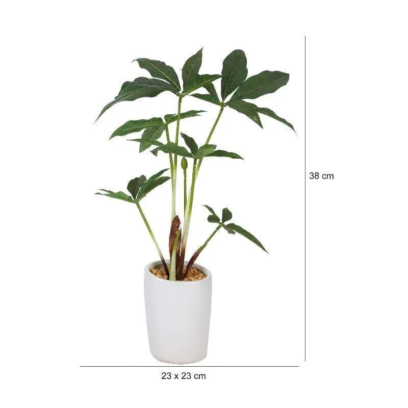 Faux Pachira Bonsai In Tube Pot - 38 cms media 4