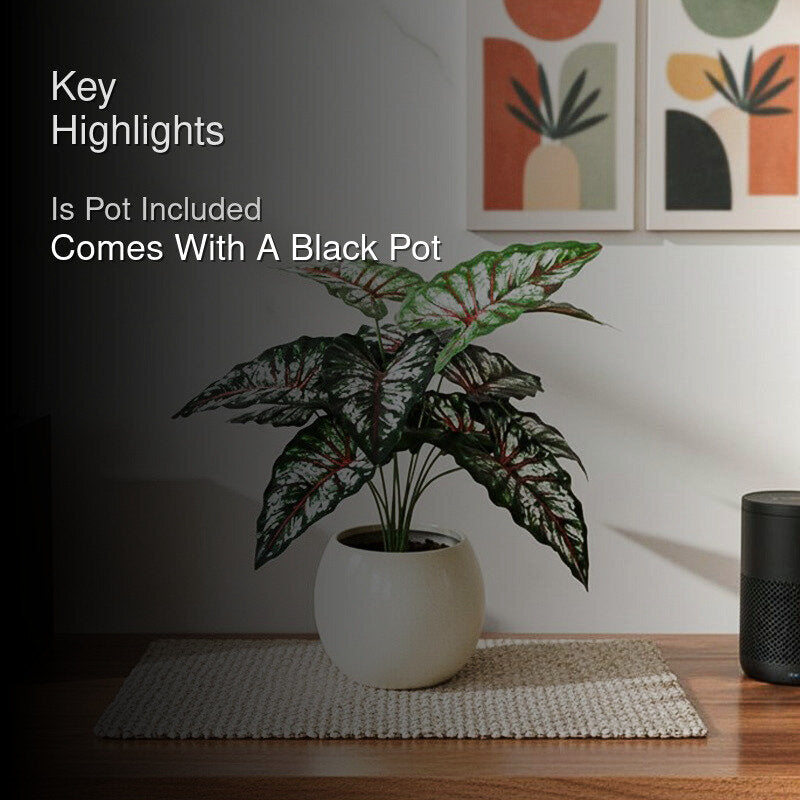 Faux Everlasting Tropical Caladium Plant With Black Plastic Pot - 65 cm (2.1 ft) media 2