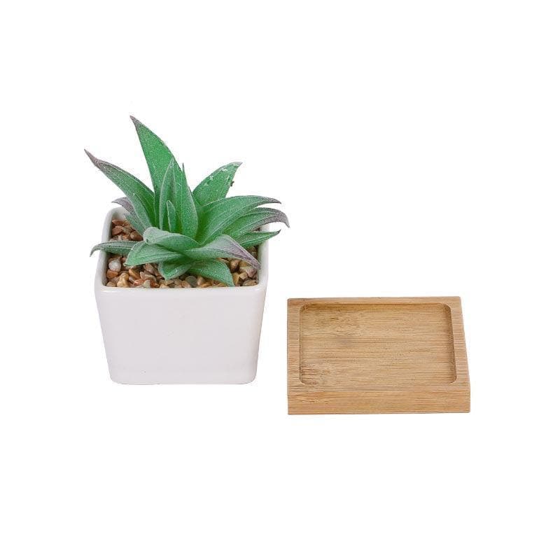 Faux Agave In Square Pot - 9.5 cms media 3