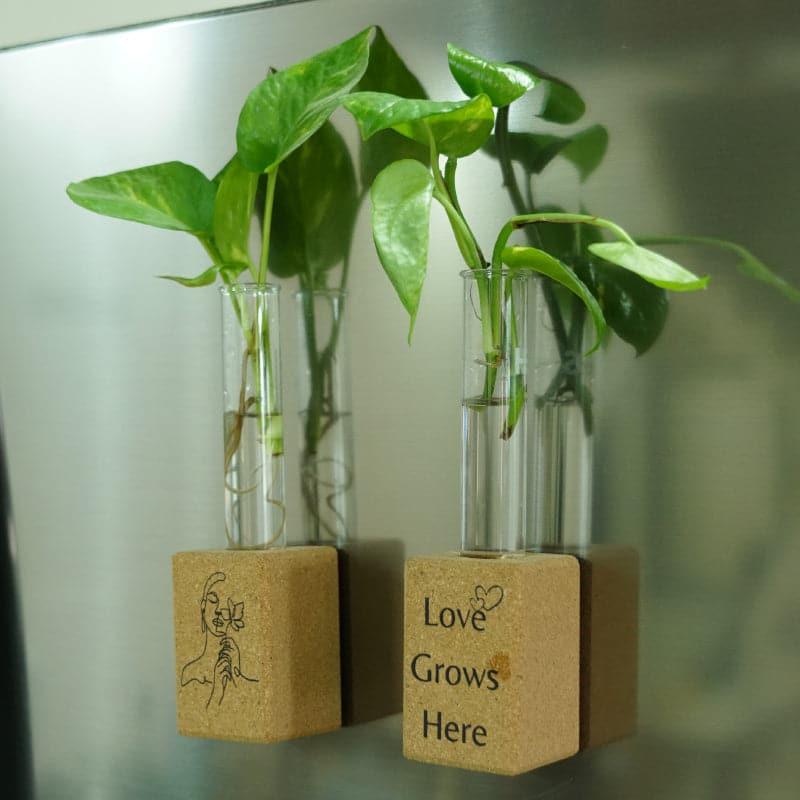 Inspire Cork Testube Planter