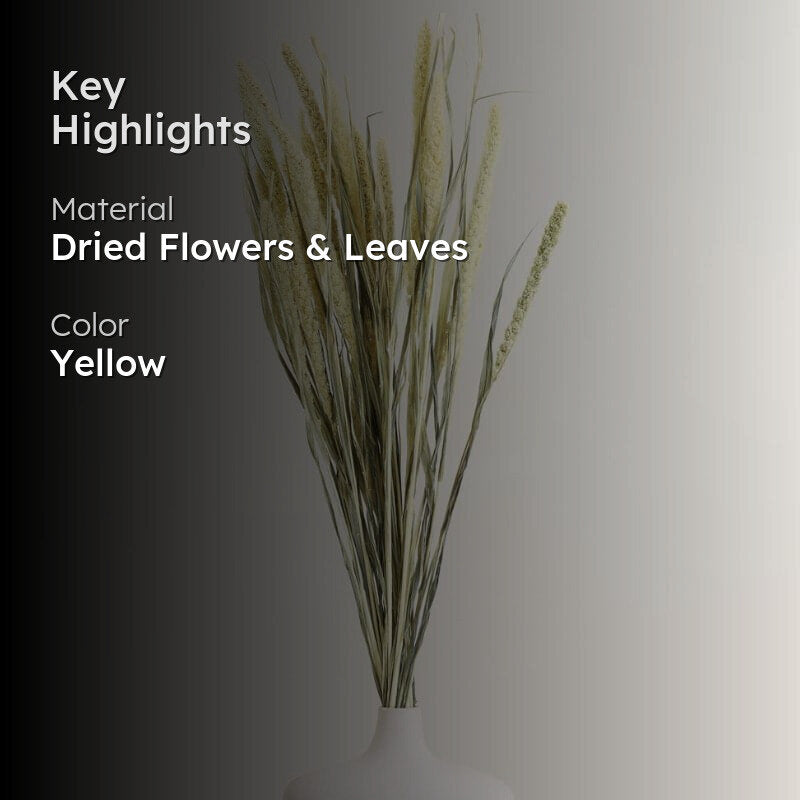 Mimo Dried Millet Grass Stick (Yellow) - Set Of Twenty media 2