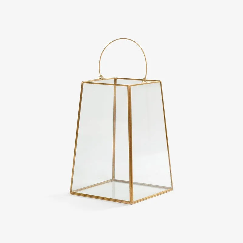 Orange Tree Anna Lantern media 3