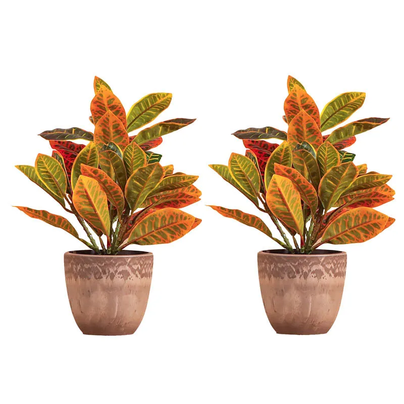 Artificial Garden Croton Plant With Black Plastic Pot (Set Of Two) - 1 Feet media 3