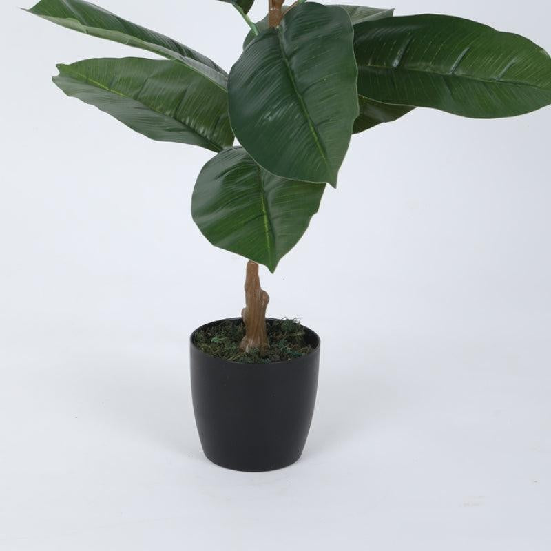 Faux Green Rubber Plant With Black Plastic Pot - 2.46 ft media 6