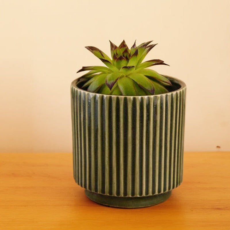 Ahanay Ribbed Planter (Olive Green) -Single Piece media 3