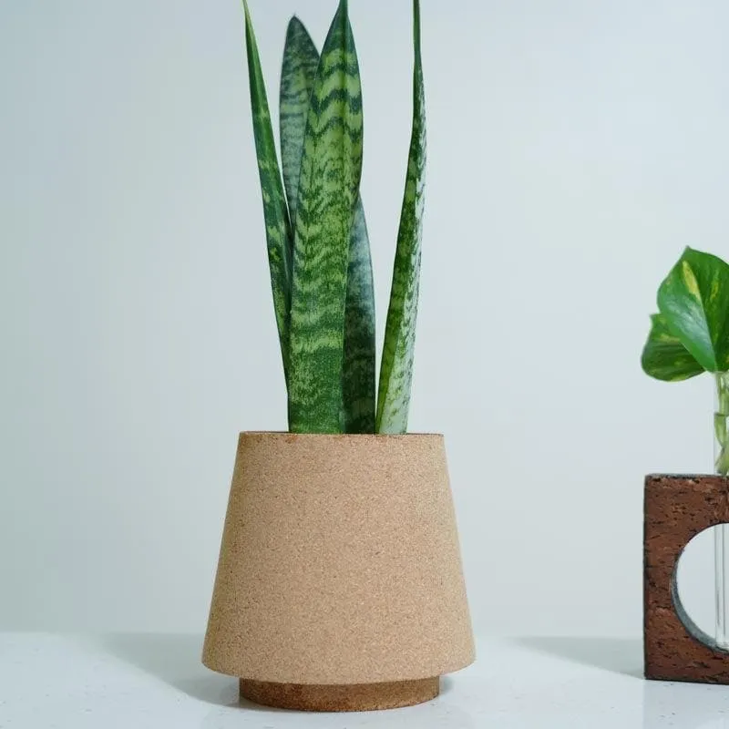 Timberland Paradise Planter media 5