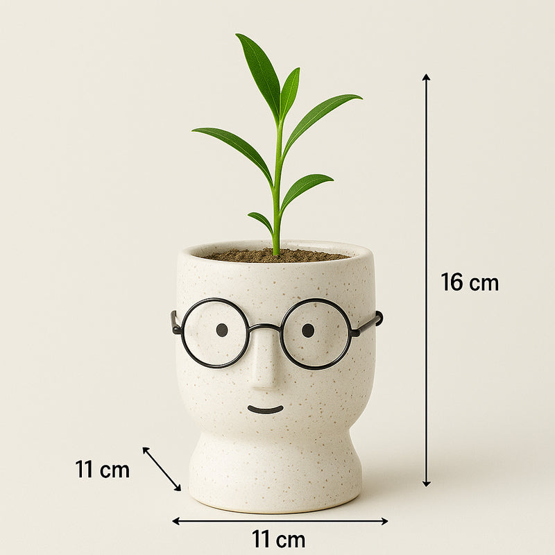 Cheeky Bloom Ceramic Planter - White media 6