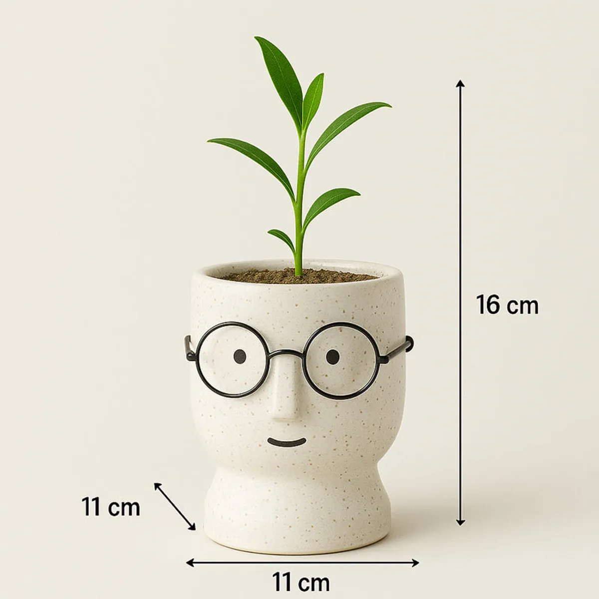 Front view of a white face-shaped planter with round glasses