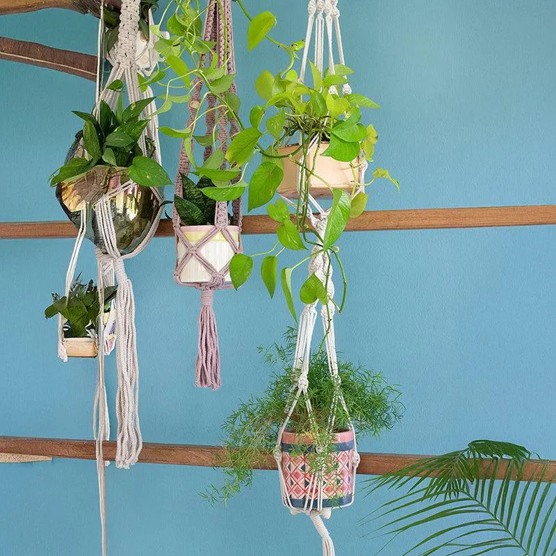 Knotted Vines Macrame Plant Hanger Without Pot media 4