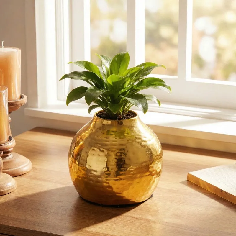Sculptural Metal Vase -Gold media 7