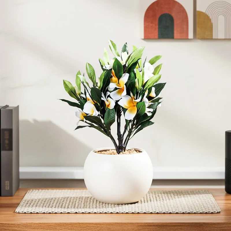 Faux Frangipani Bonsai (30 cms) - White media 1