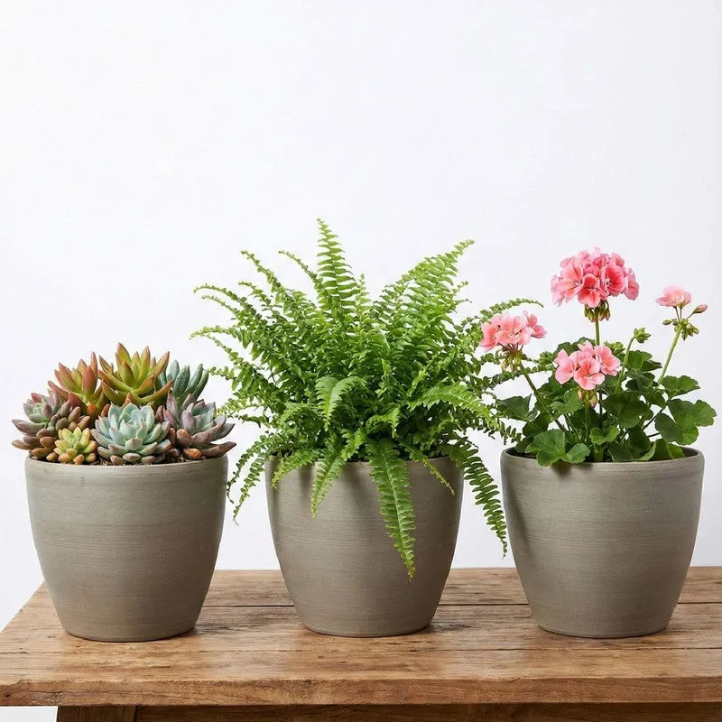 Aurora Garden Planter - Set Of Three media 4