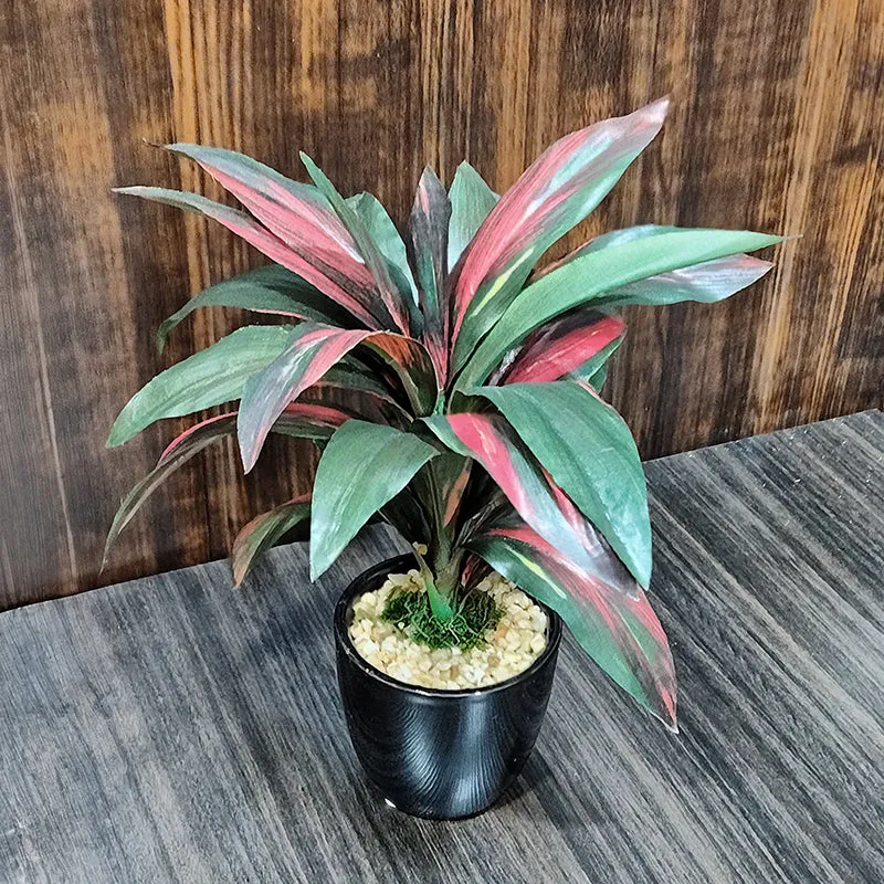 Faux Dracaena Bonsai (24 cms) - Red media 4