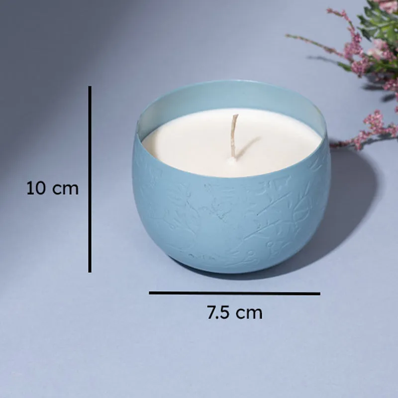 Ocean Breeze Scented Candle - Ocean Breeze media 6