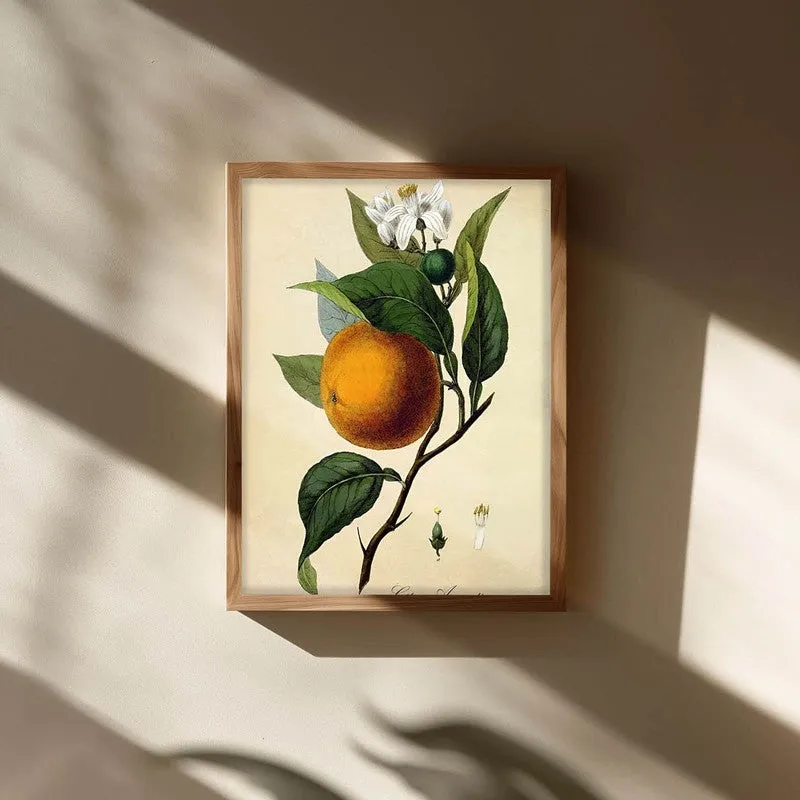 Tropical Zest Archival Canvas Wall Art - Brown media 3