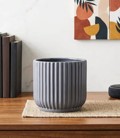 Ceramic