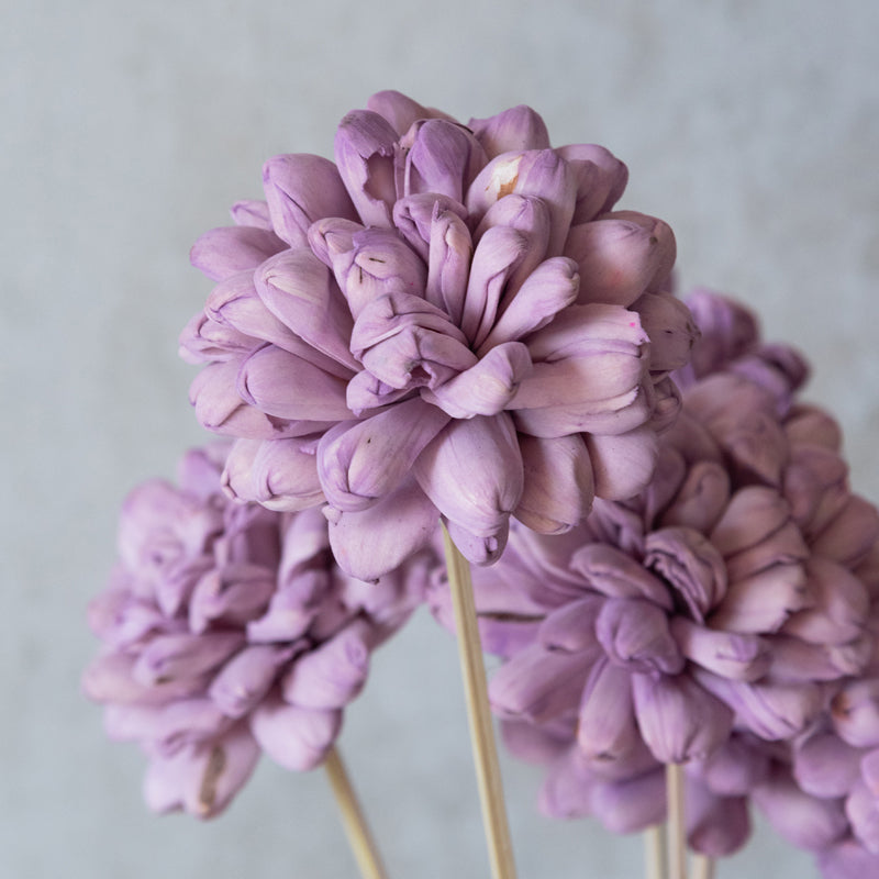 Delvina Sola Wood Rose Flower Stick (Lilac) - Set Of Ten media 5