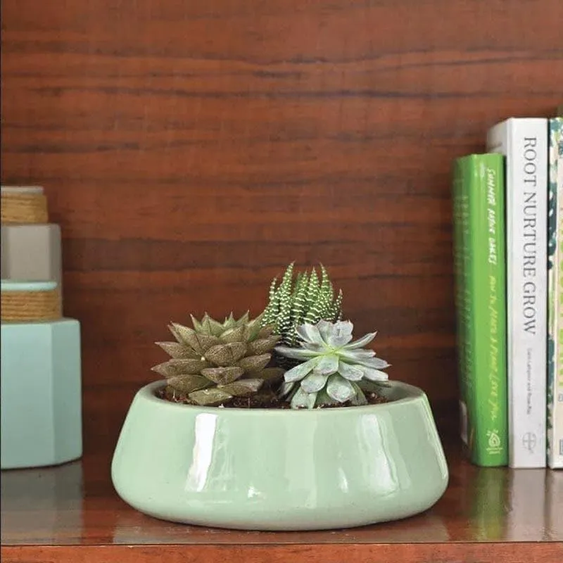 Ugaoo Tulip Fantasy Ceramic Planter (19 CM) - Aqua media 3