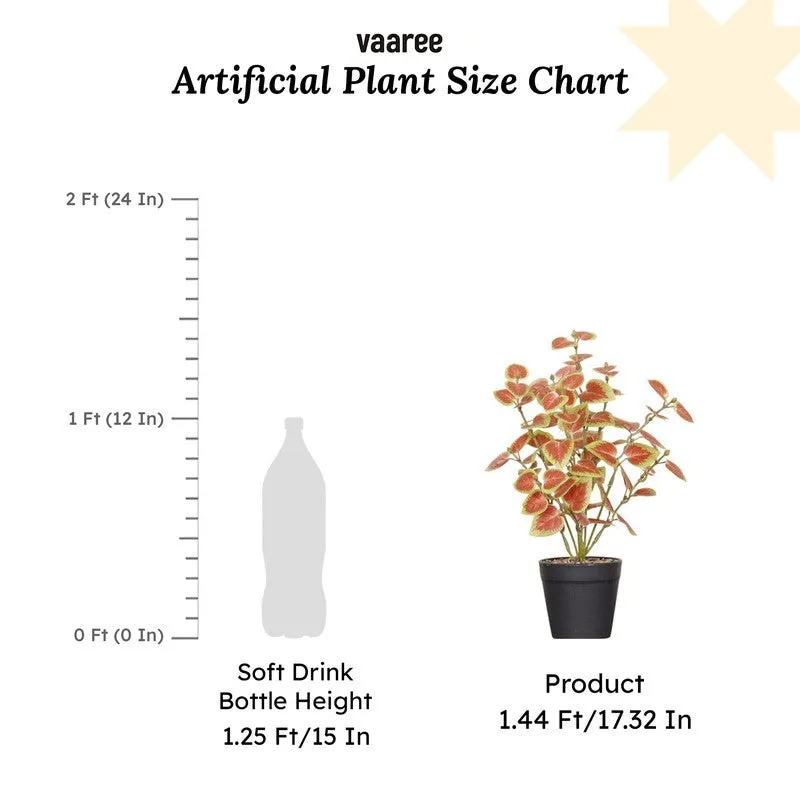 Artificial Natural Looking Coleous Big Plant With Black Fiber Pot (Brown) - 1.4 Feet media 7