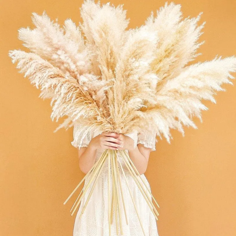 Artificial Rustic Pampas Grass - Set Of Five media 5