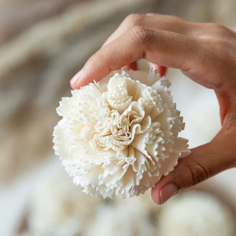 Berta Carnation Sola Flower (White) - Set Of Ten media 4