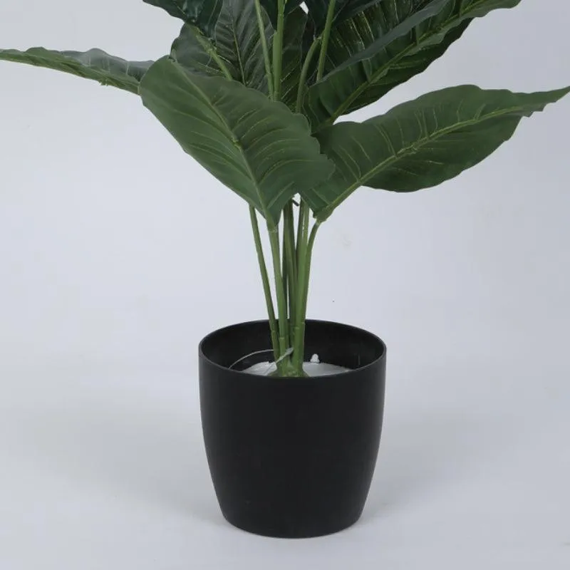 Faux Green Taro Plant With Black Plastic Pot - 2.13 ft media 4