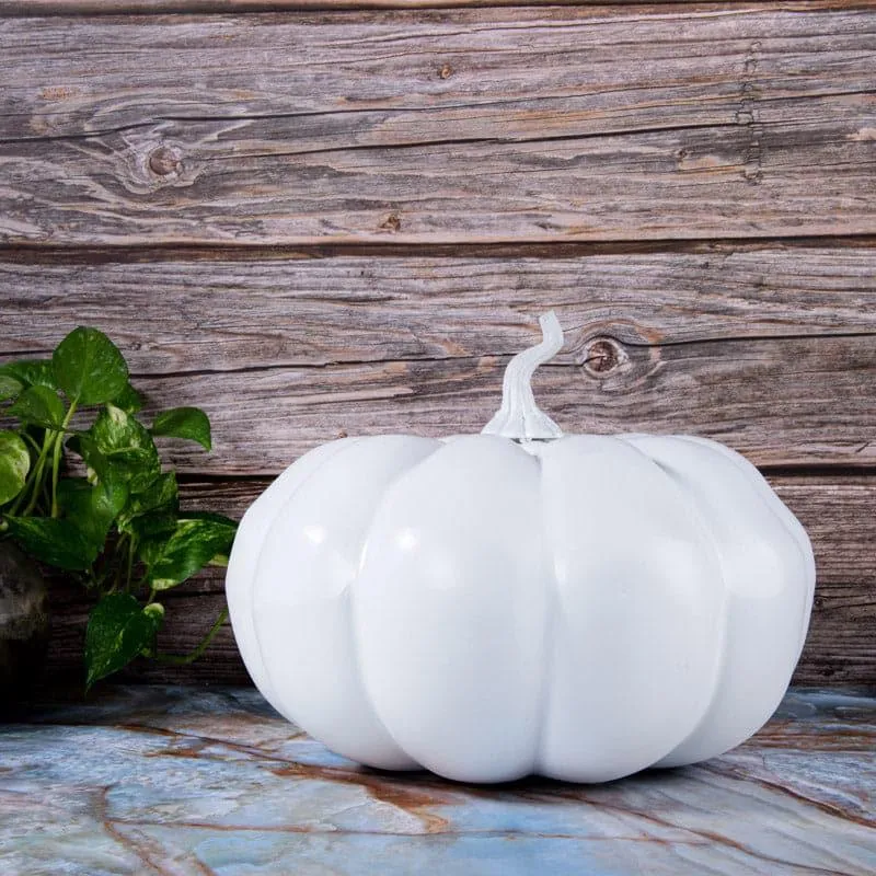 Pumpkin Plum Showpiece media 1