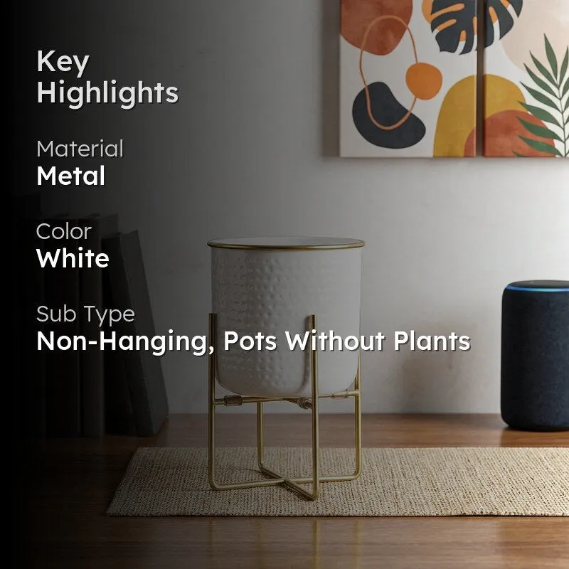 Rhaella Iron Planter - Small media 2