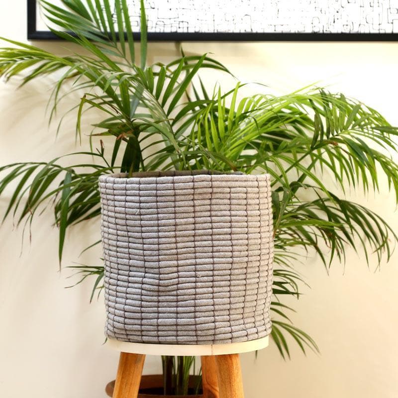 Coastal Escape Cotton Planter media 4