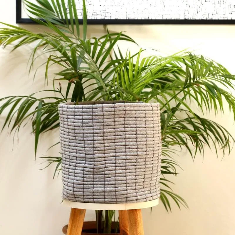Coastal Escape Cotton Planter media 4