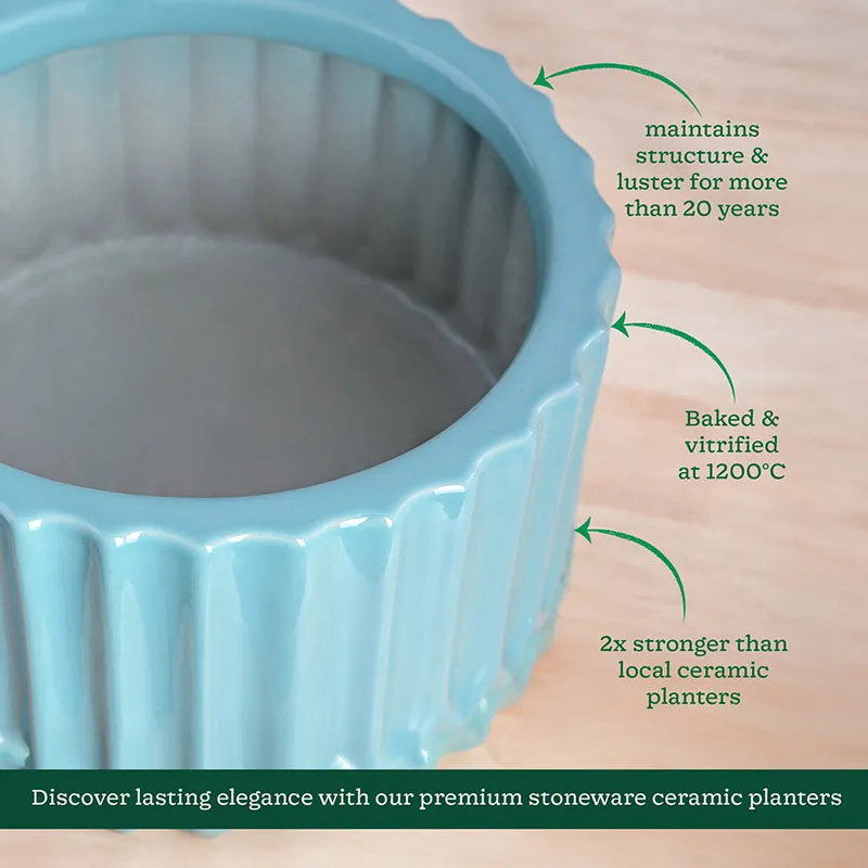Ugaoo Stria Ceramic Planter - Blue media 6