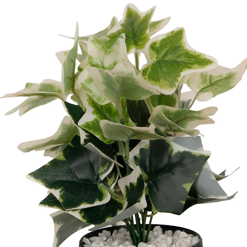 Ivelle Artificial Plant With Black Plastic Pot - Green & Green media 4
