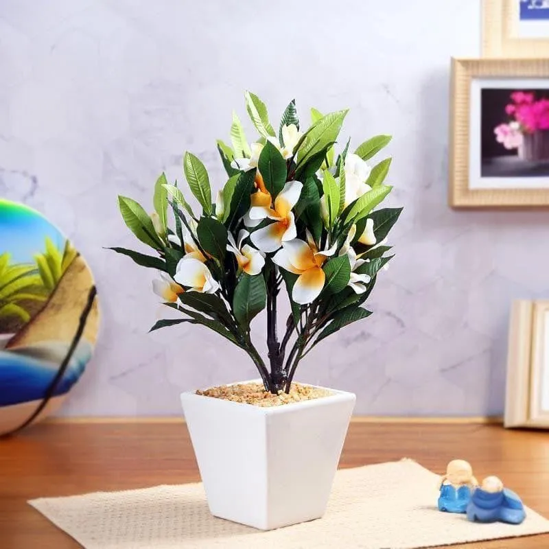 Faux Frangipani Bonsai (30 cms) - White media 2