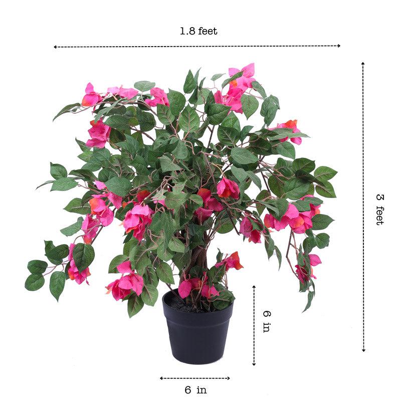 Artificial Realistic Bougainvillea Bonsai Tree With Black Plastic Pot - 3 Feet media 8