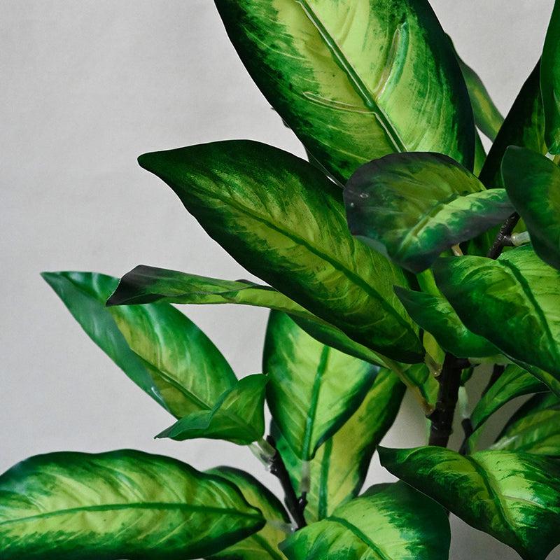 Faux Everlasting Dieffenbachia Seguine Plant With Black Plastic Pot - 74 cm (2.4 ft) media 4