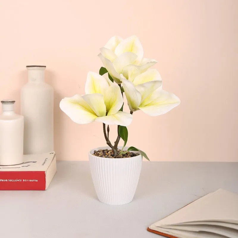 Magnolia Artificial Flower Plant With Black Plastic Pot - White,Yellow media 1