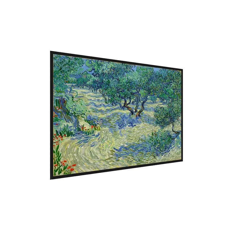 Olive Orchard Canvas Painting By Vincent Van Gogh - Black Frame media 3