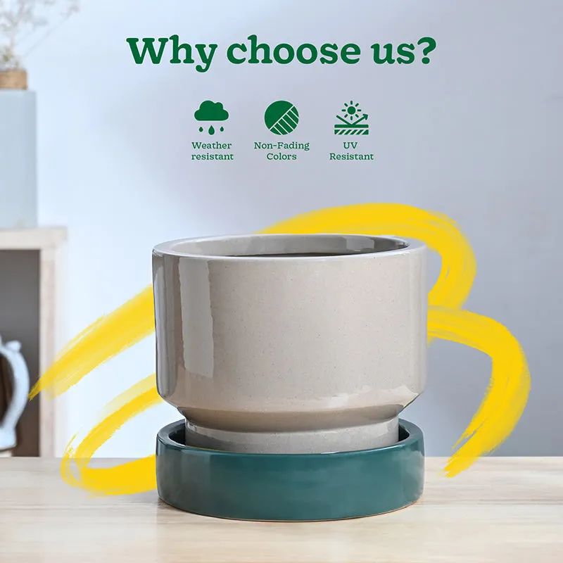Ugaoo Pot-fection Ceramic Planter - Dark Green media 7