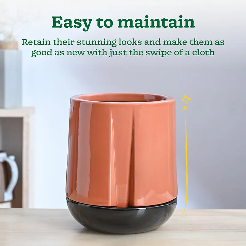 Ugaoo Duke of Drainage Ceramic Planter - Coral media 4
