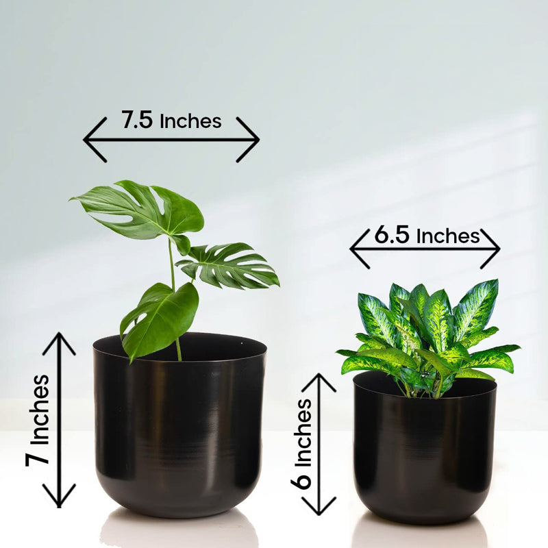 Luxe Glow Planter (Black) - Set Of Two media 5