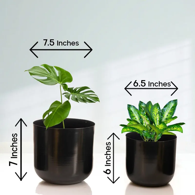Luxe Glow Planter (Black) - Set Of Two media 5