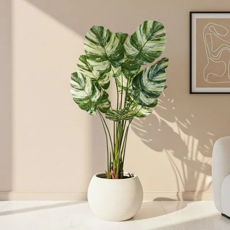 Faux Lush Variegated Monstera Plant With Black Plastic Pot - 5 Feet media 1