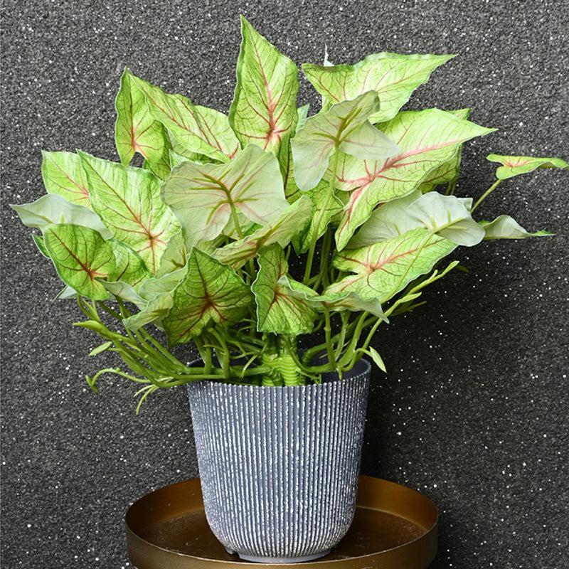 Caladira Artificial Caladium Plant With Black Plastic Pot - 40 cm media 5