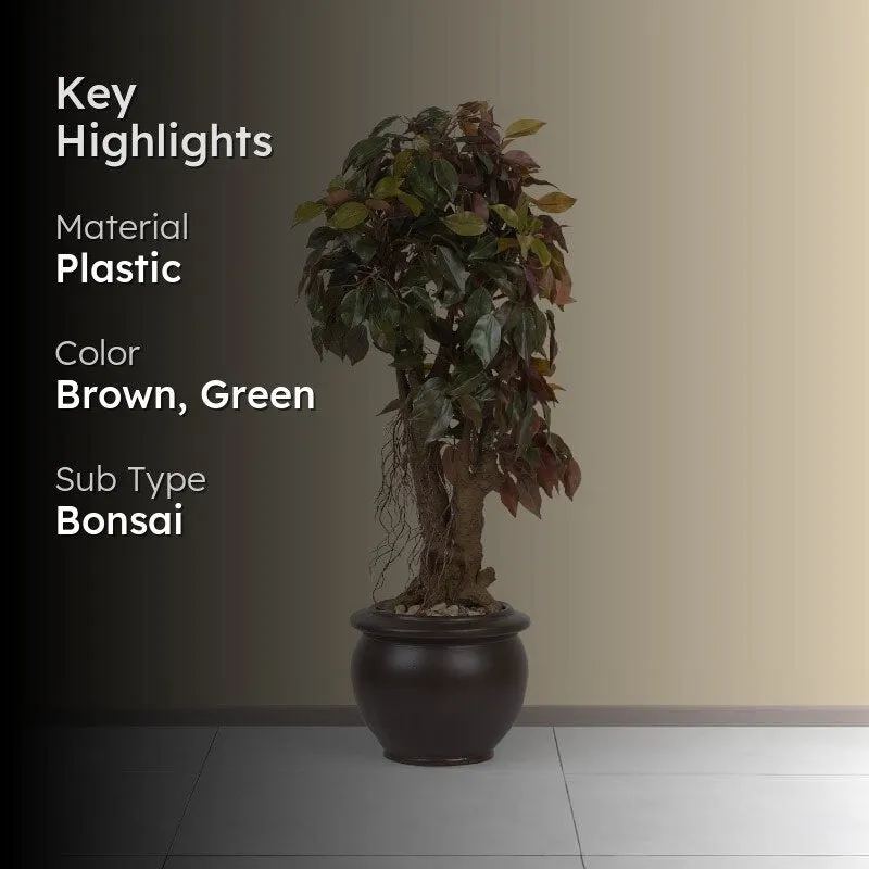 Faux Twisted Ficus Bonsai (2.03 ft) - Green & Red media 2