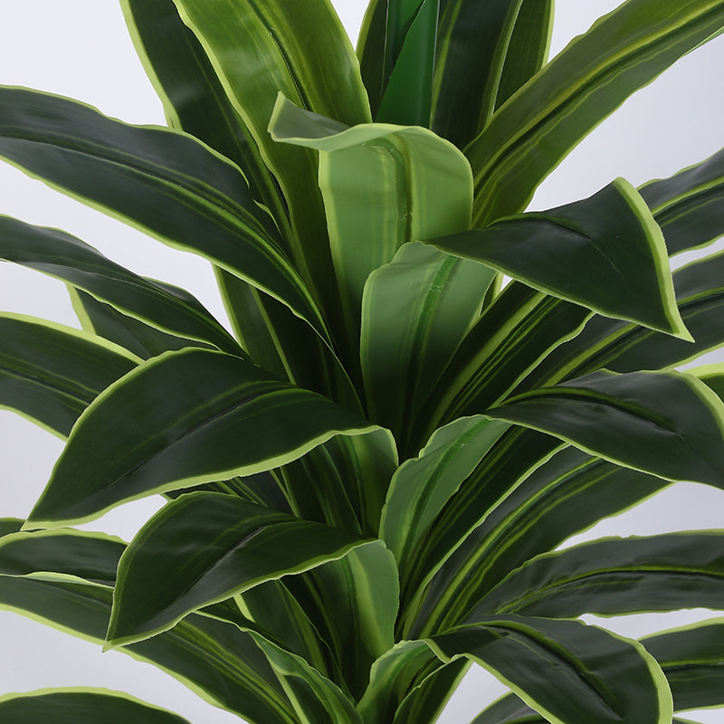 Danae Artificial Dracaena Plant With Black Plastic Pot - 2.8 Feet media 4