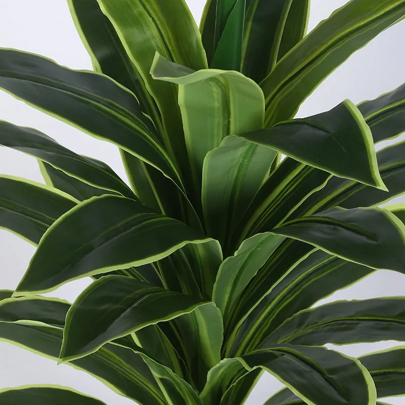 Danae Artificial Dracaena Plant With Black Plastic Pot - 2.8 Feet media 4