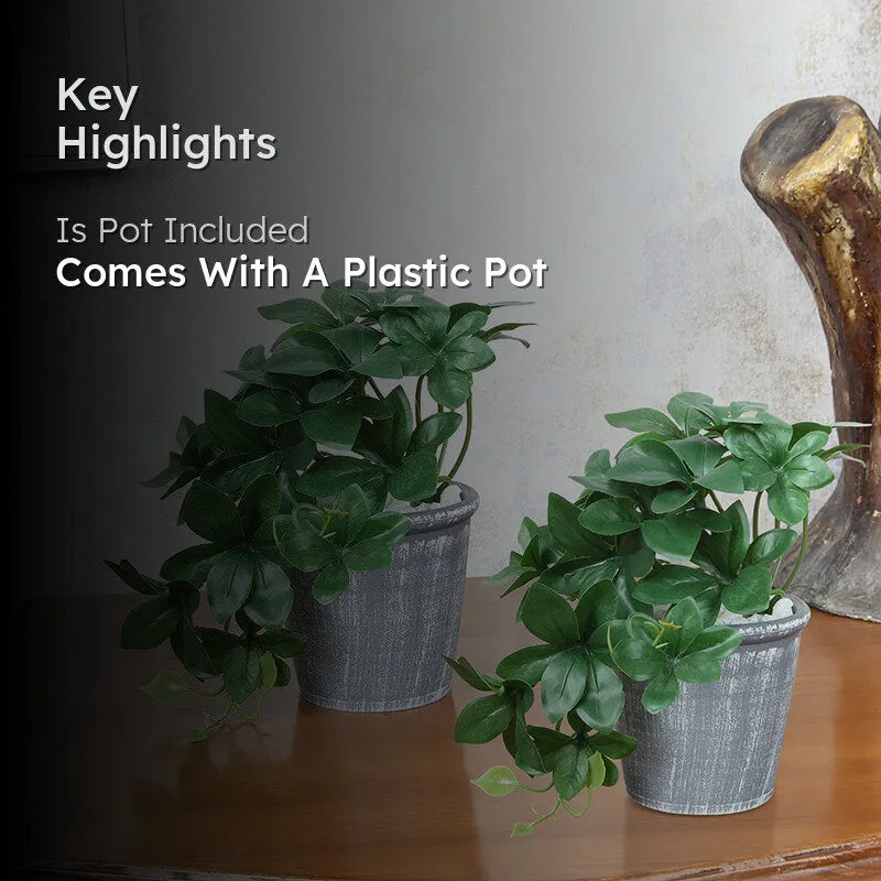 Leafetta Artificial Plant With Black Plastic Pot media 2