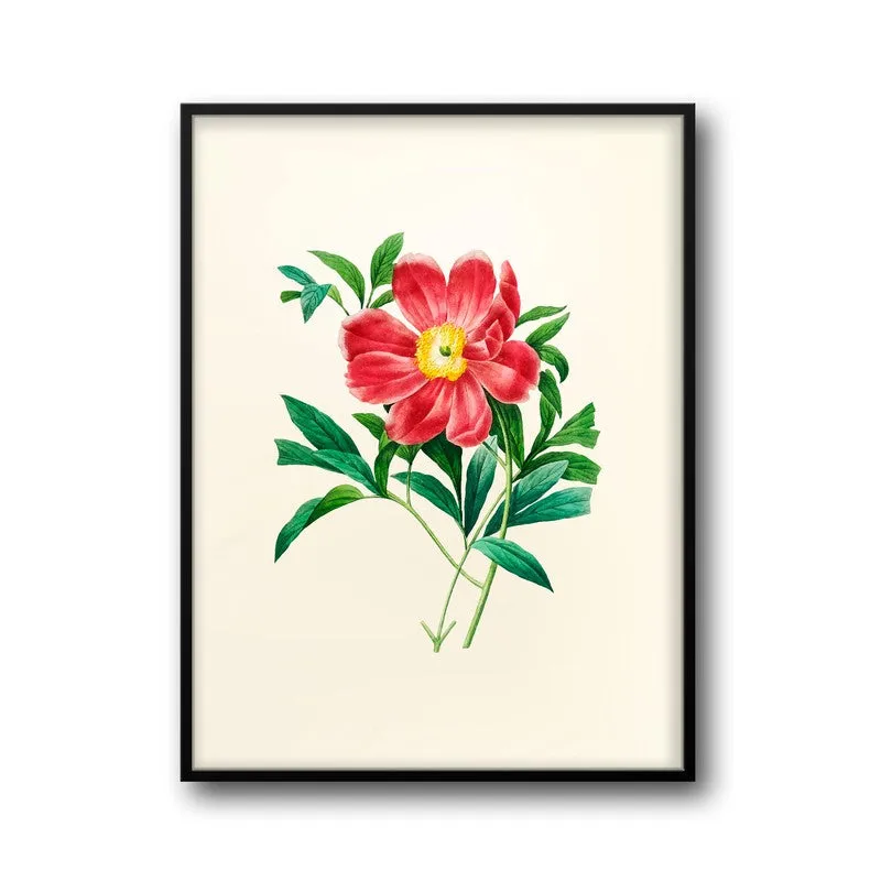 Fiery Bloom Archival Paper Wall Art With Frame media 5