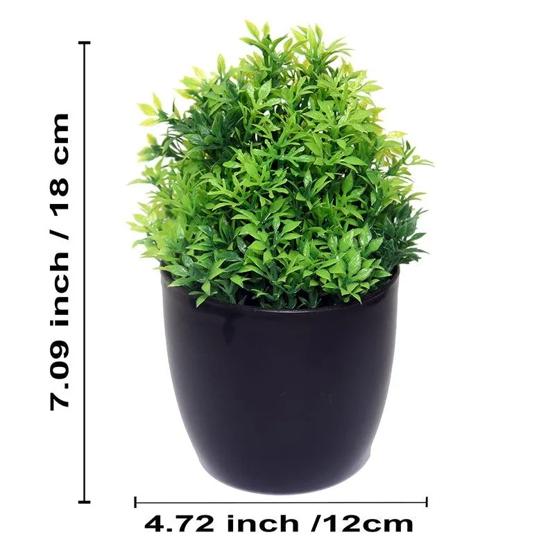 Faux Kesa Plant With Black Plastic Pot - Set Of Three media 3